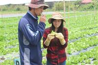 Người nước ngoài đến Việt Nam làm nông nghiệp